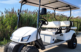 Electric golf cart